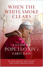 When the White Smoke Clears: A Guide to the Early Days of Pope Leo XIV